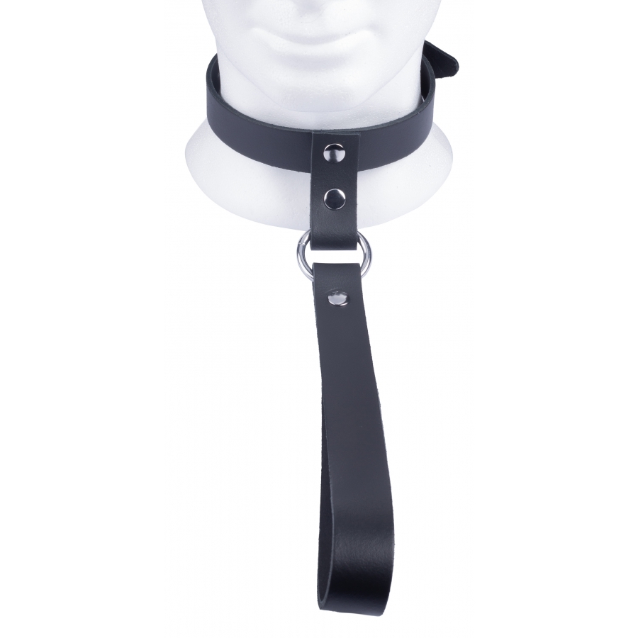 The Red Leather Collar with Short Leash - Image 2