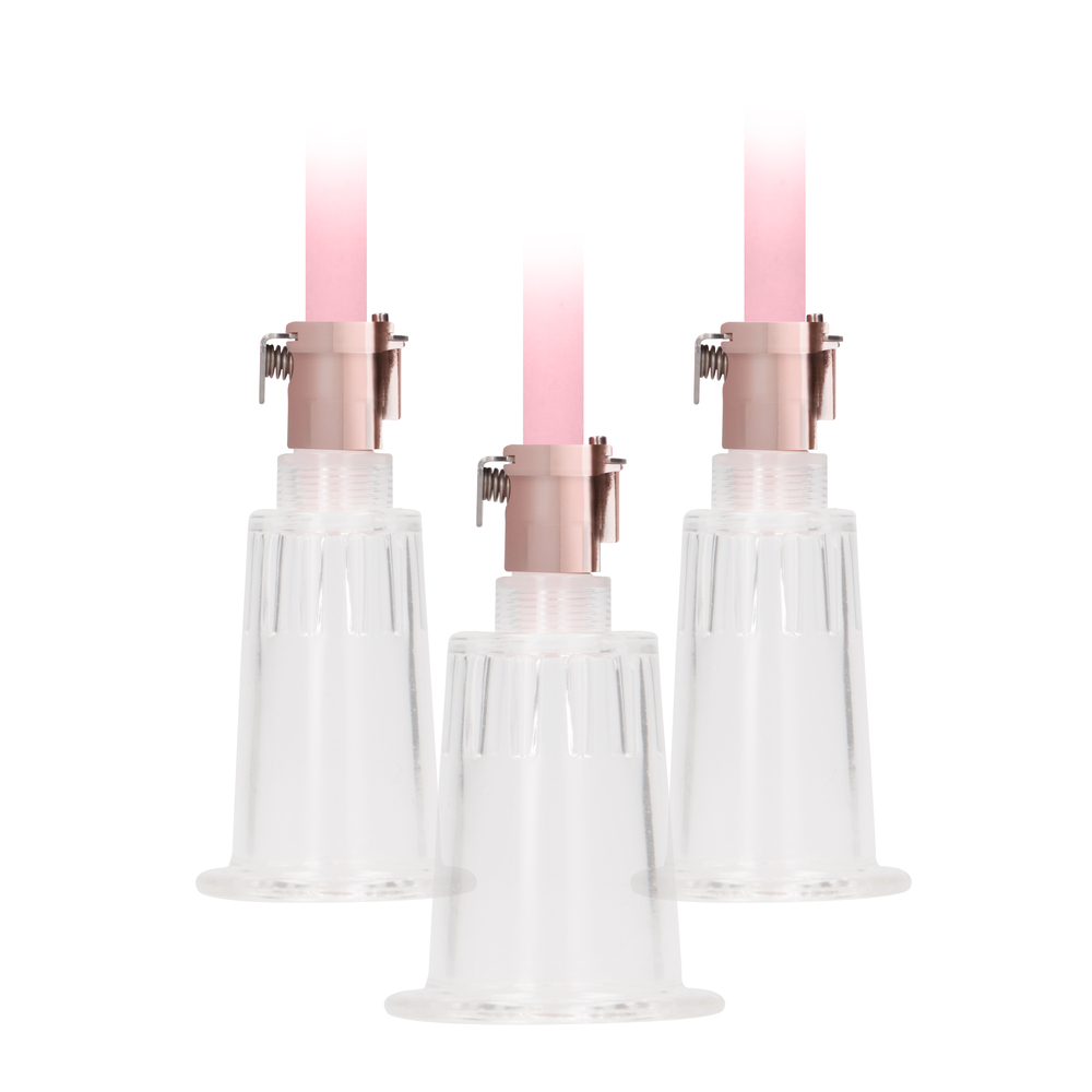 Pumped Clitoral and Nipple Pump Set - Image 2