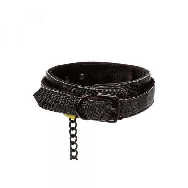 Boundless Collar and Leash - Image 2